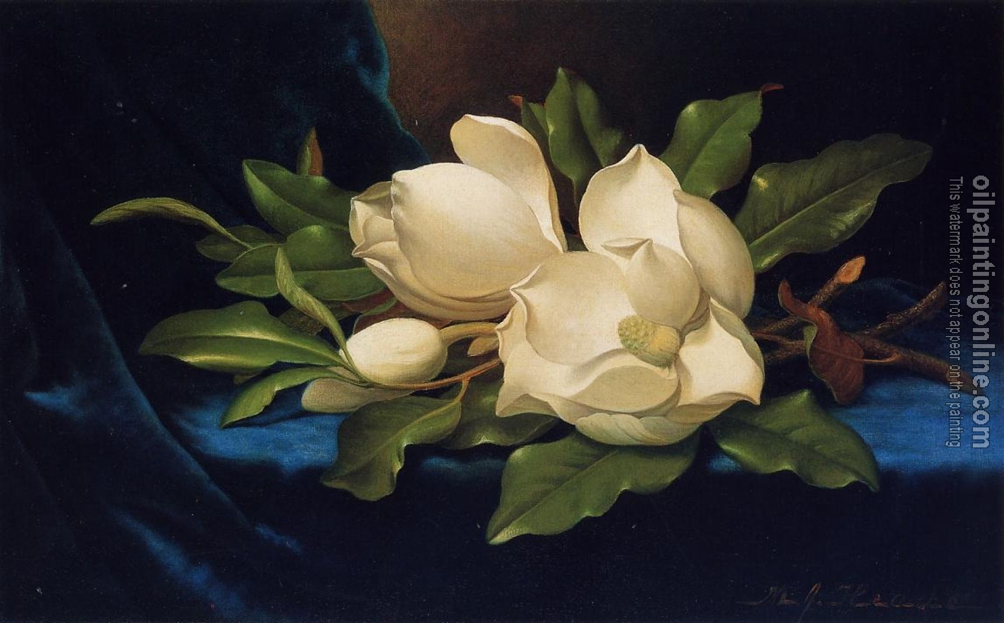 Heade, Martin Johnson - Giant Magnolias on a Blue Velvet Cloth